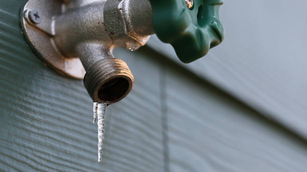 Best Sewer Line Repair  in Piney, AR