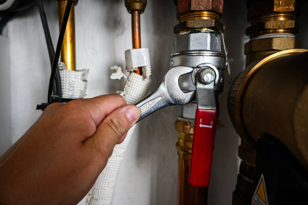 Best 24-Hour Plumber Near Me  in Piney, AR